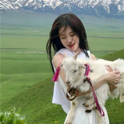 进击的沐小姐
